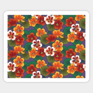 Nasturtium Garden Sticker